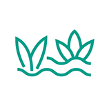 icon01