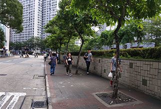 IMG_index_04 copy